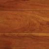 High Gloss Jatoba 8 mm Thick x 5-5/8 in. Wide x 47-3/4 in. Length Laminate Flooring (18.65 sq. ft. / case) by TrafficMaster 2 High Gloss Jatoba 8 mm Thick x 5-5/8 in. Wide x 47-3/4 in. Length Laminate Flooring (18.65 sq. ft. / case) by TrafficMaster -TrafficMaster Sales 2024 jatoba trafficmaster laminate wood flooring hl1044 64 1000
