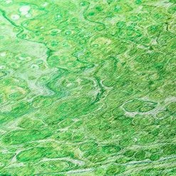 Copeland Lime 1 ft. 8 in. x 2 ft. 6 in. Abstract Accent Rug by Addison Rugs -TrafficMaster Sales 2024 lime addison rugs area rugs hdkc5lm20x30 4f 1000