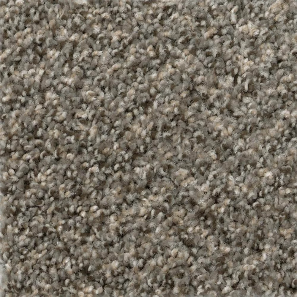 Gallop - Color Maverick Indoor 12 ft. Texture Gray Carpet (1080 sq. ft./Roll) by TrafficMaster 3 Gallop - Color Maverick Indoor 12 ft. Texture Gray Carpet (1080 sq. ft./Roll) by TrafficMaster