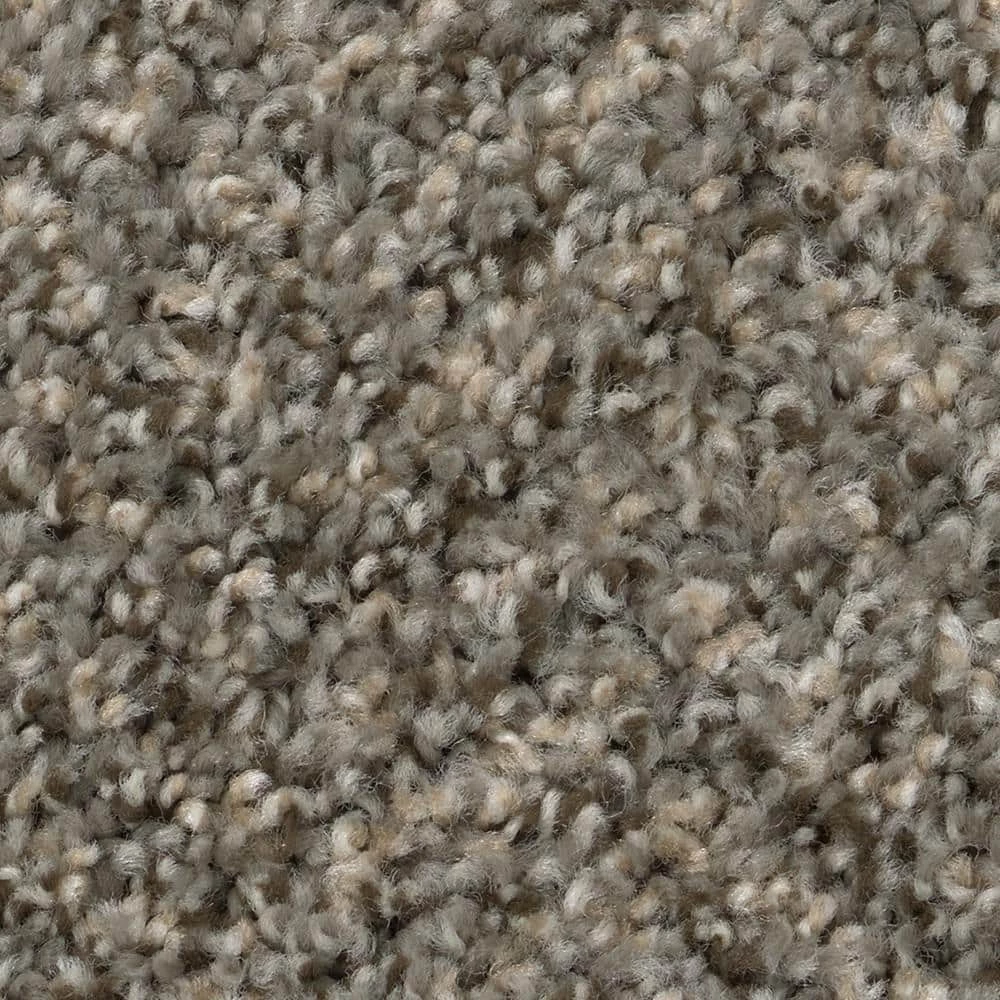Gallop - Color Maverick Indoor 12 ft. Texture Gray Carpet (1080 sq. ft./Roll) by TrafficMaster 9 Gallop - Color Maverick Indoor 12 ft. Texture Gray Carpet (1080 sq. ft./Roll) by TrafficMaster - Image 7