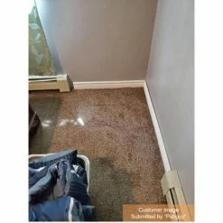 Field Day Brown Residential 18 in. x 18 Peel and Stick Carpet Tile (10 Tiles/Case) 22.50 sq. ft. by TrafficMaster 18 Field Day Brown Residential 18 in. x 18 Peel and Stick Carpet Tile (10 Tiles/Case) 22.50 sq. ft. by TrafficMaster -TrafficMaster Sales 2024 rollins trafficmaster carpet tile ht001 5832 1818 d4 1000