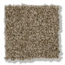 Hartsfield - Color Skypoint Indoor 12 ft. Texture Beige Carpet (1080 sq. ft./Roll) by TrafficMaster -TrafficMaster Sales 2024 skypoint trafficmaster roll carpet h2022 1815 1200 4f 1000