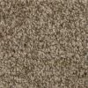 Hartsfield - Color Skypoint Indoor 12 ft. Texture Beige Carpet (1080 sq. ft./Roll) by TrafficMaster 2 Hartsfield - Color Skypoint Indoor 12 ft. Texture Beige Carpet (1080 sq. ft./Roll) by TrafficMaster -TrafficMaster Sales 2024 skypoint trafficmaster roll carpet h2022 1815 1200 64 1000