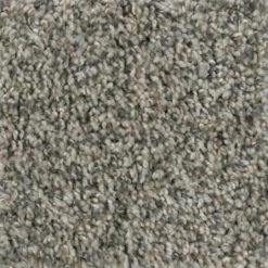 Prancer - Color Woodland Indoor 12 ft. Texture Beige Carpet (1080 sq. ft./Roll) by TrafficMaster -TrafficMaster Sales 2024 woodland trafficmaster roll carpet h2036 267 1200 c3 1000