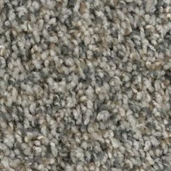 Prancer - Color Woodland Indoor 12 ft. Texture Beige Carpet (1080 sq. ft./Roll) by TrafficMaster -TrafficMaster Sales 2024 woodland trafficmaster roll carpet h2036 267 1200 d4 1000